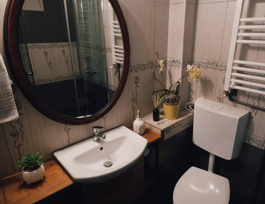 Vista Studio Brasov In The Heart Of The Old City Center Exterior foto